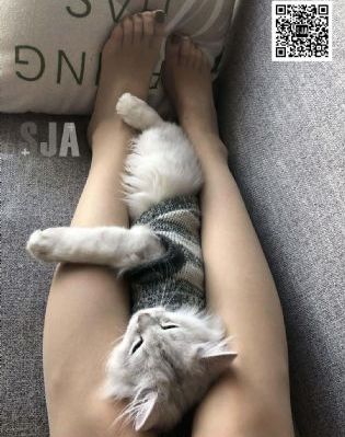 看见缘分的少女电视剧免费观看