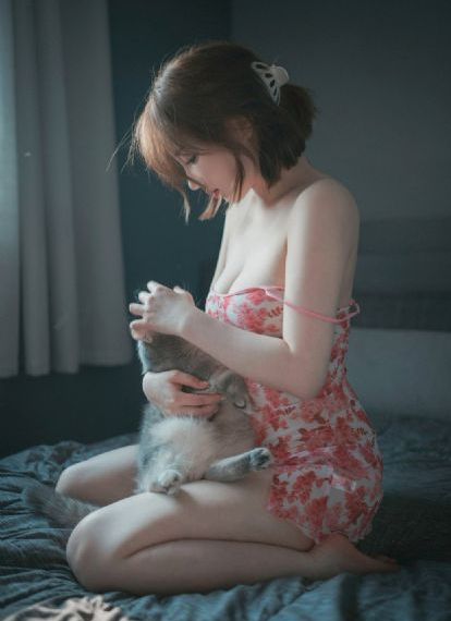 石纪元免费观看第一季