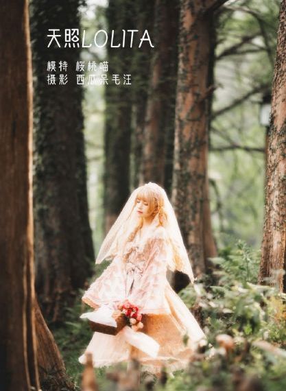 《鸣龙少年》电视剧