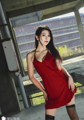 电视剧当家的女人免费观看
