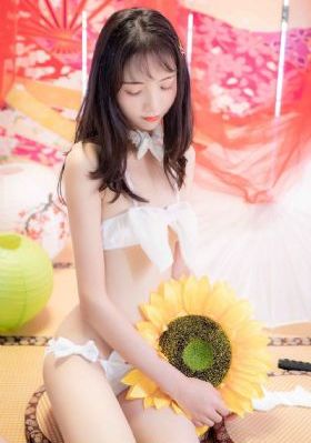 博袭来